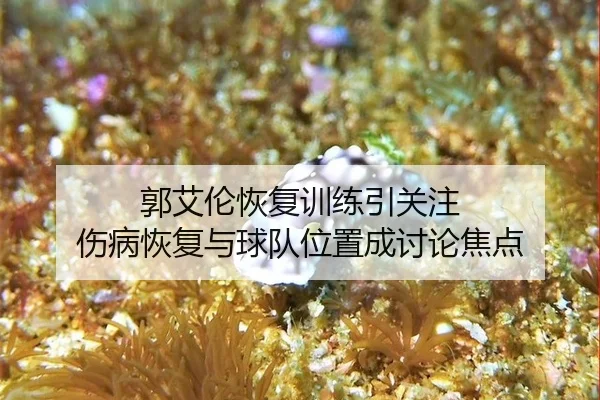 guo-ai-lun-hui-fu-xun-lian-yin-guan-zhu-shang-bing-hui-fu-yu-qiu-dui-wei-zhi-cheng-tao-lun-jiao-dian-2-304.jpg